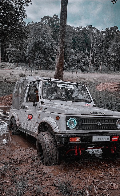 球隊而言 球隊而言