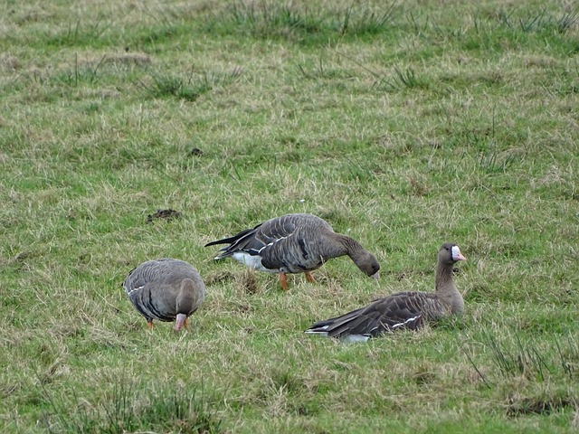 目前他们处 目前他们处