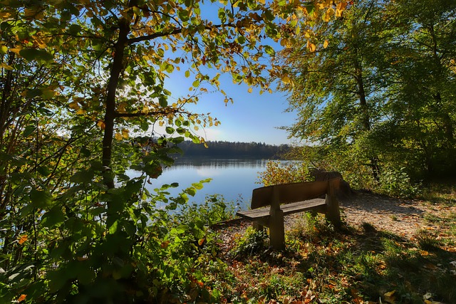 赛中点球失 赛中点球失