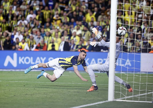 发挥出色 发挥出色